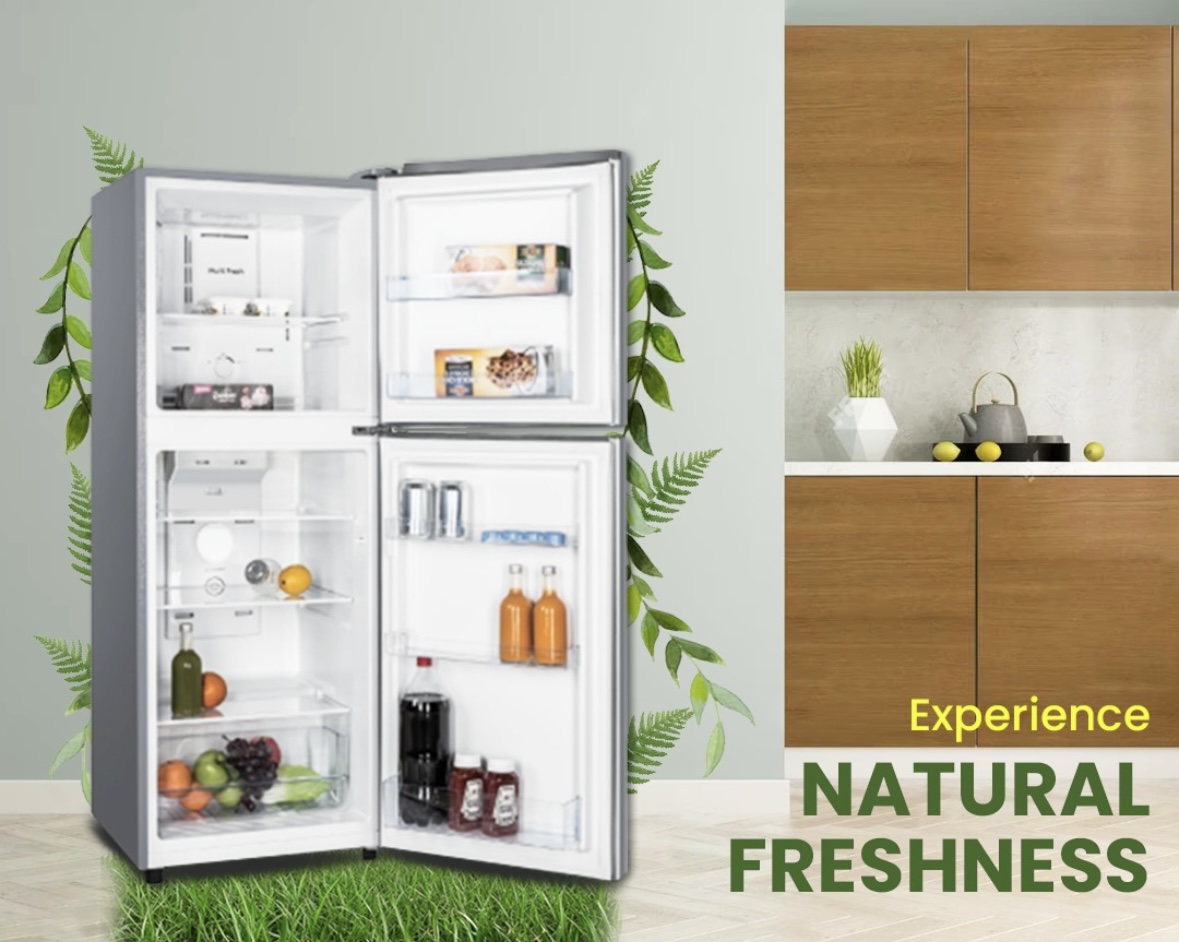 DELLA NO FROST DOUBLE DOOR REFRIGERATOR DL-33WR