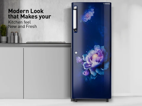 Panasonic NR-A242CFAX 215 liters Refrigerator